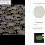 Frozen – Kuva 5 – Leppänen Arkkitehdit