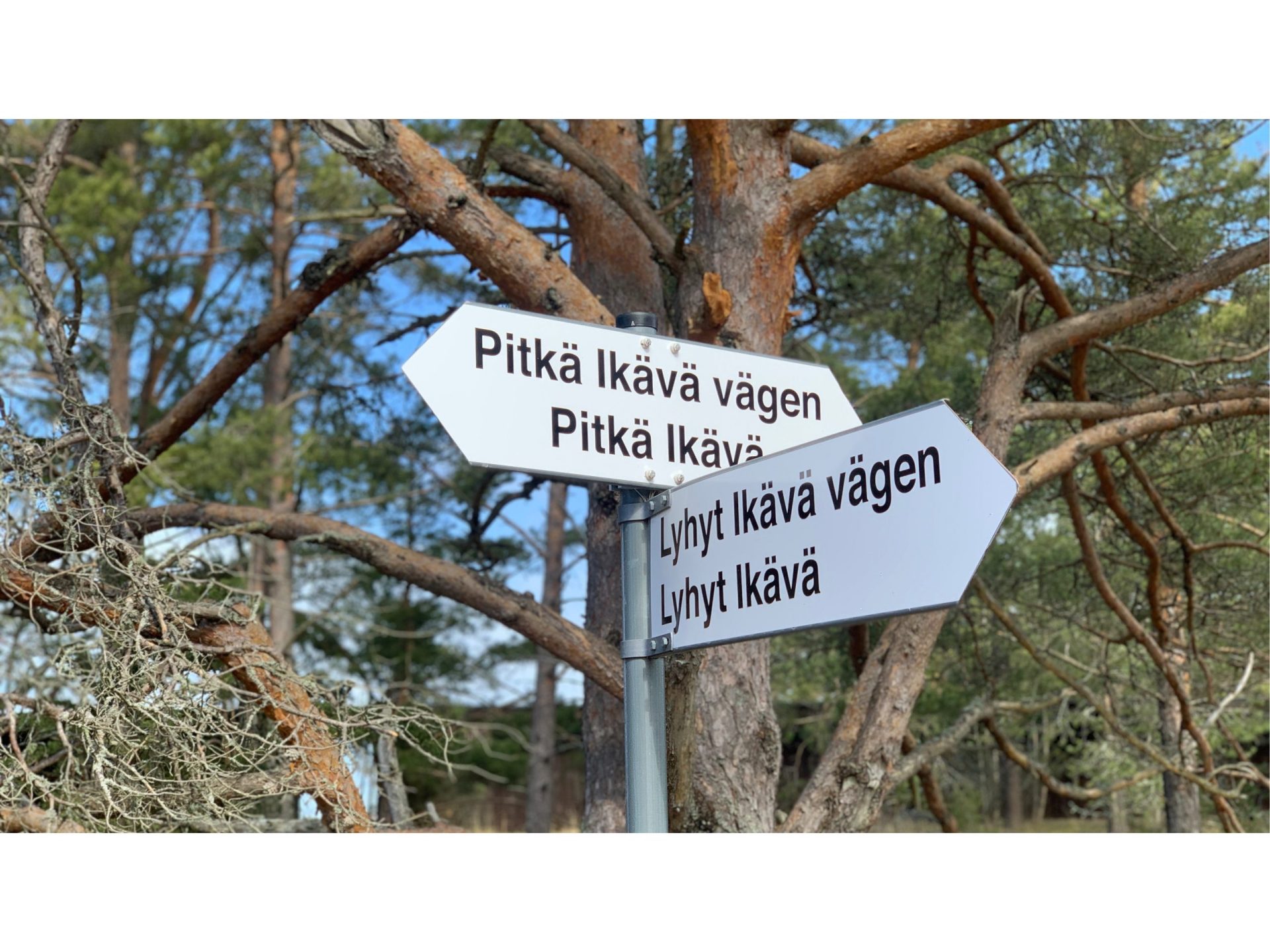 Kontorets vårutflykt till Skärgårdshavet – Bild 4 – Leppänen Arkitekter